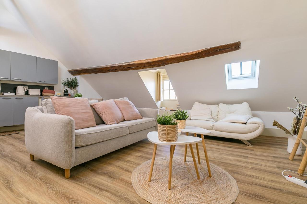 Ferienwohnung Le Dentan, Au Centre Historique De Dijon Exterior foto